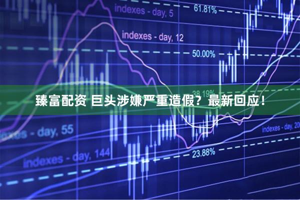 臻富配资 巨头涉嫌严重造假？最新回应！