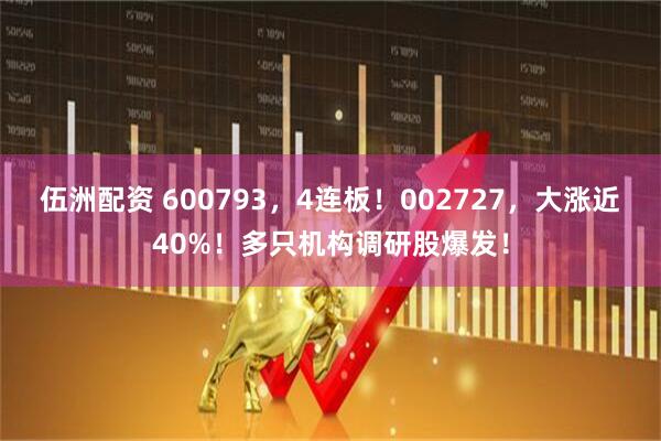 伍洲配资 600793，4连板！002727，大涨近40%！多只机构调研股爆发！